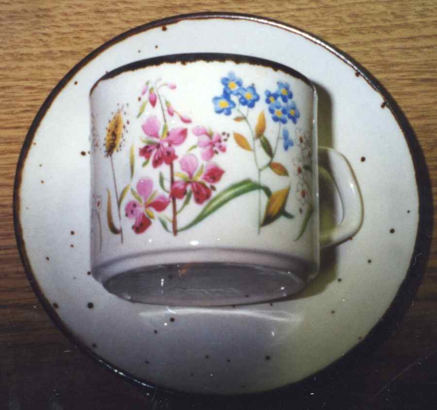 Wayside Flat Cup & Saucer Set by J & G Meakin-1