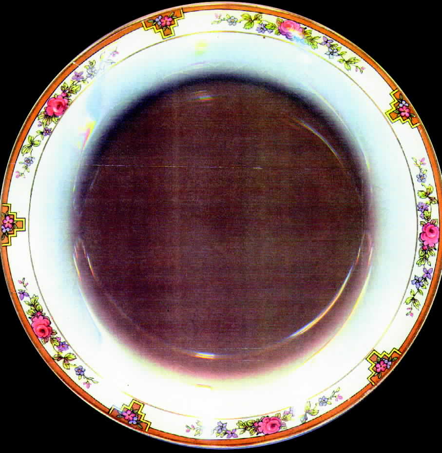 MEK23 Dinner Plate by J & G Meakin-1