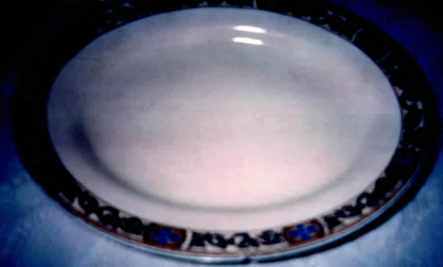 MEK32 Dinner Plate by J & G Meakin-1