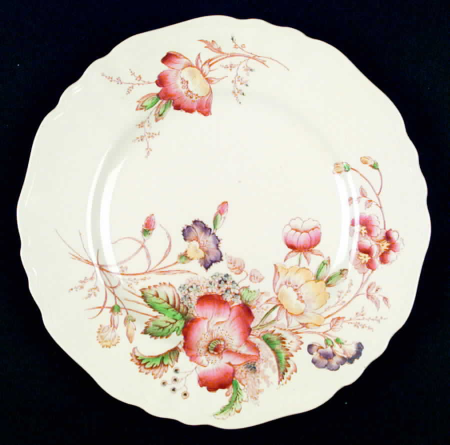 Century Dinner Plate by J & G Meakin-1