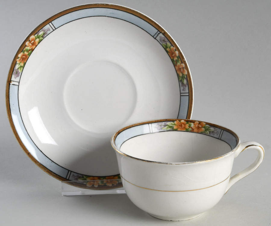 Nebraska Blue Flat Cup & Saucer Set by J & G Meakin-1