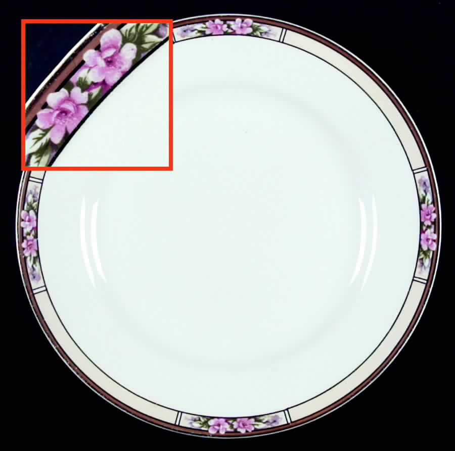 Nebraska Cream Luncheon Plate by J & G Meakin-1