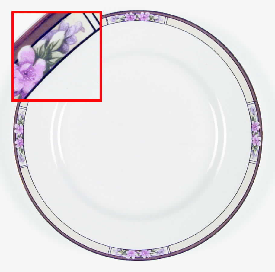 Nebraska Cream Dinner Plate by J & G Meakin-1