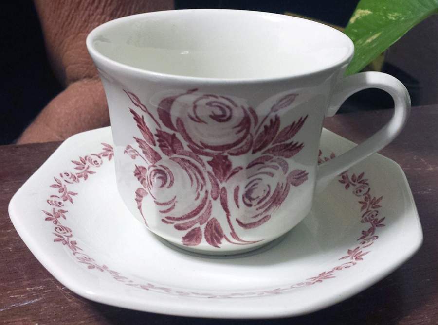 Trio Pink Flat Cup & Saucer Set by J & G Meakin-1