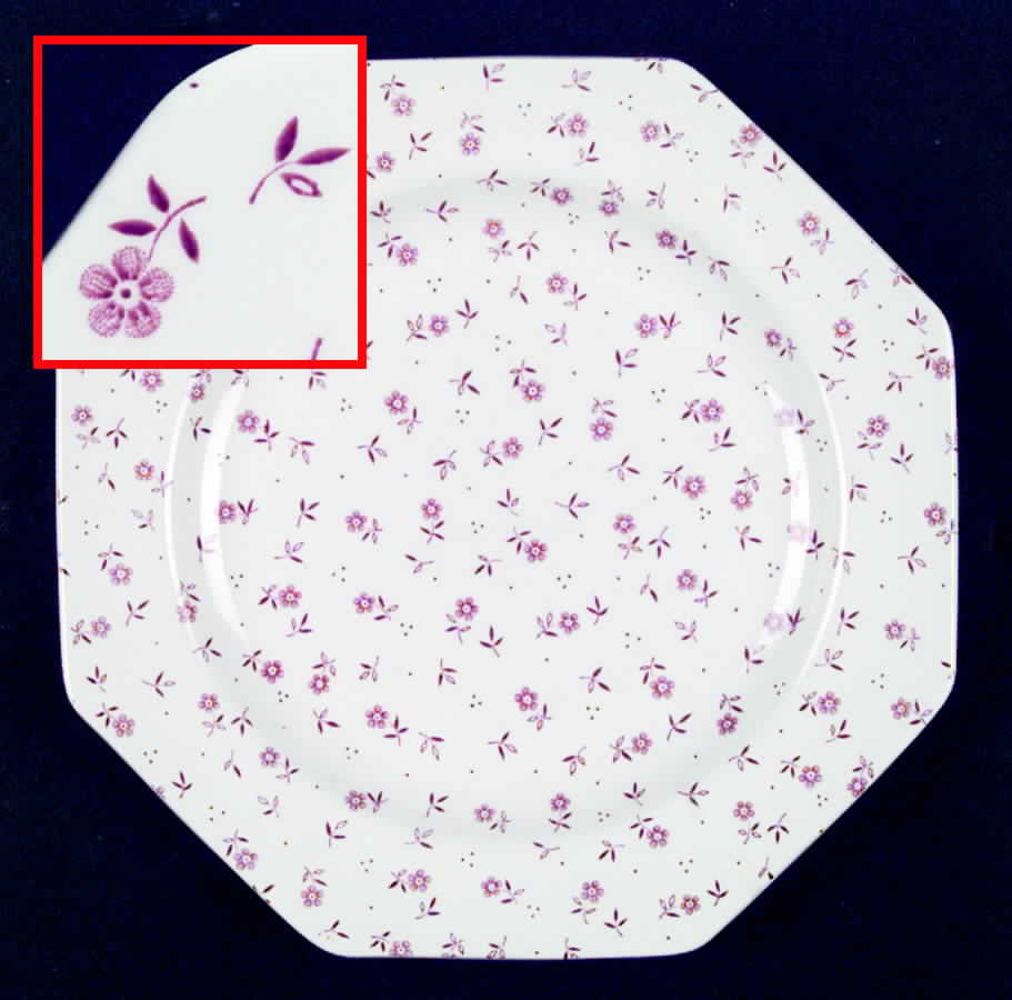 Vanity Fair Pink Dinner Plate by J & G Meakin-1