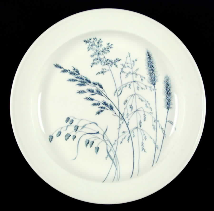 Windswept Blue Dinner Plate by J & G Meakin-1