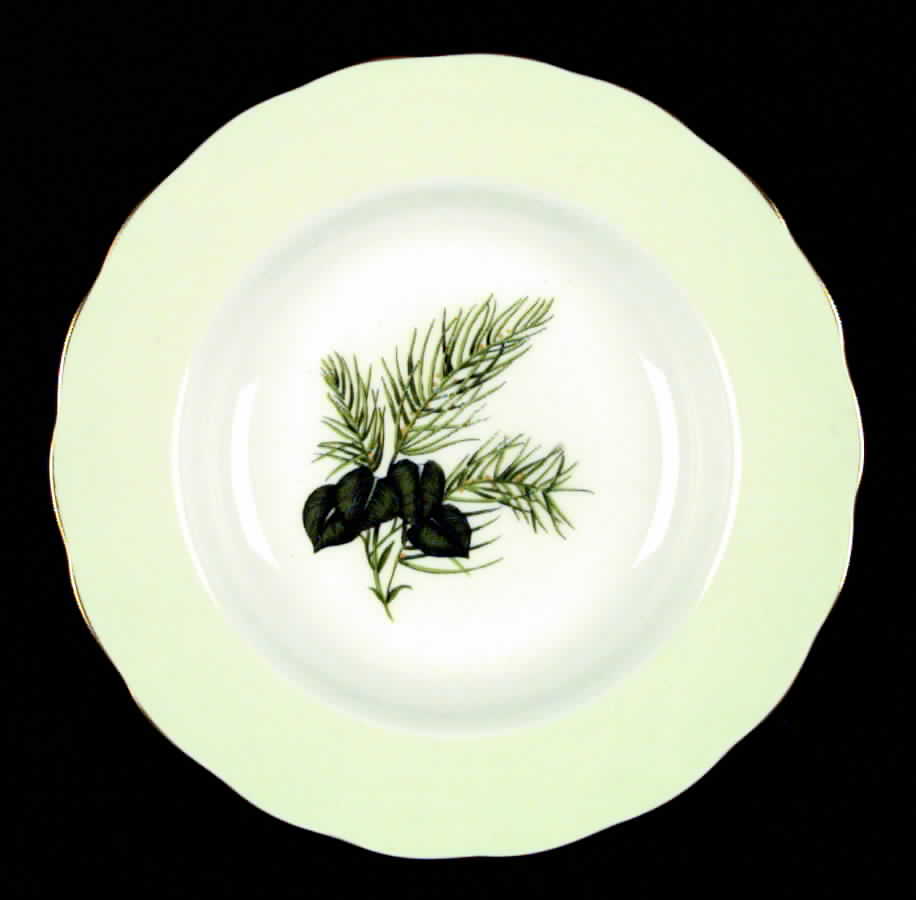 Sherwood Rim Soup Bowl by Melba-1