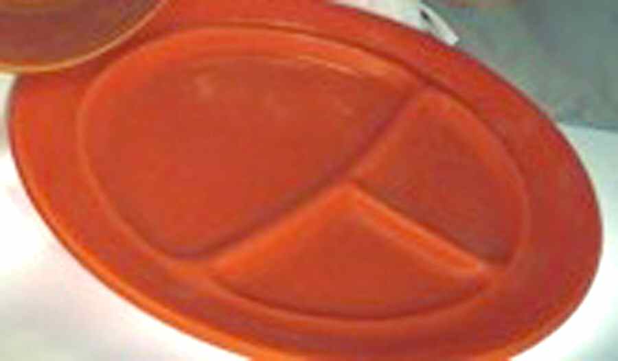 200 Poppy Orange (Glossy, Rim) Grill Plate by Metlox - Poppytrail - Vernon-1