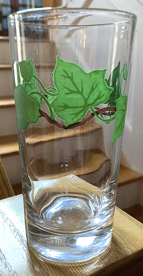 California Ivy Glassware Tall Tumbler by Metlox - Poppytrail - Vernon-1