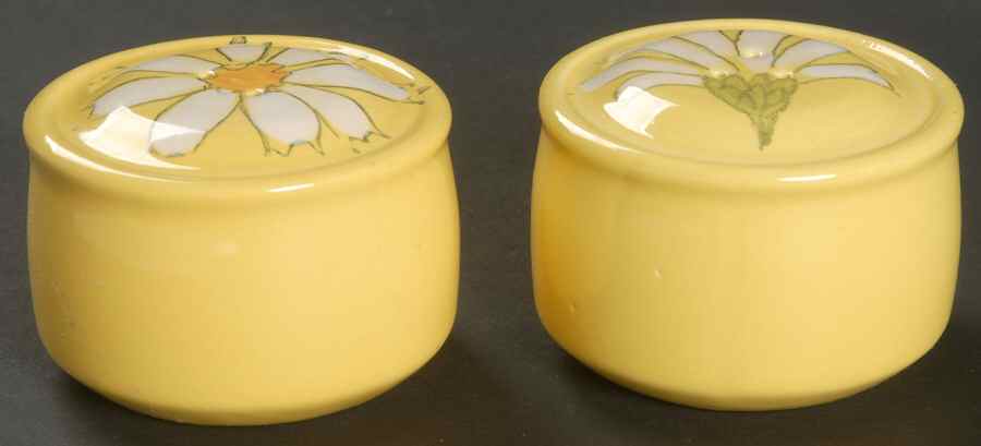 Gaiety Salt & Pepper Set by Metlox - Poppytrail - Vernon-1