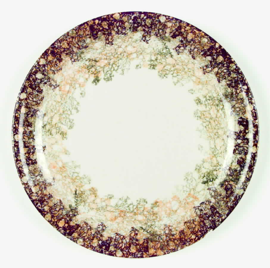 Hawaiian Coral Dinner Plate by Metlox - Poppytrail - Vernon-1