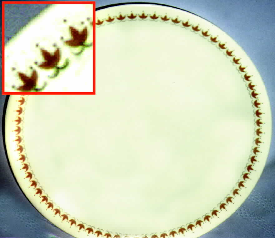 5696s Dinner Plate by Mikasa-1