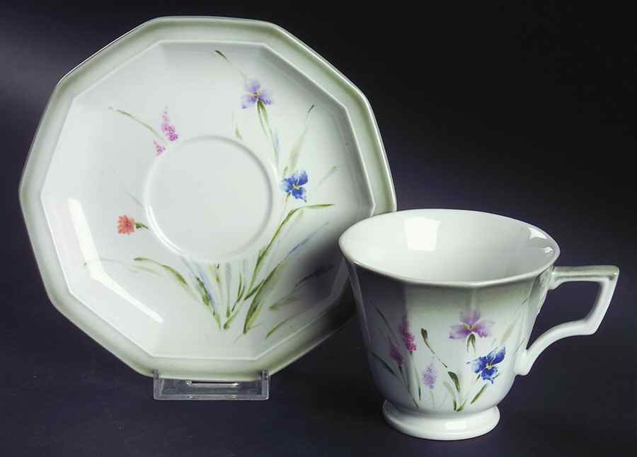 Alpine Meadow Footed Cup & Saucer Set by Mikasa-1