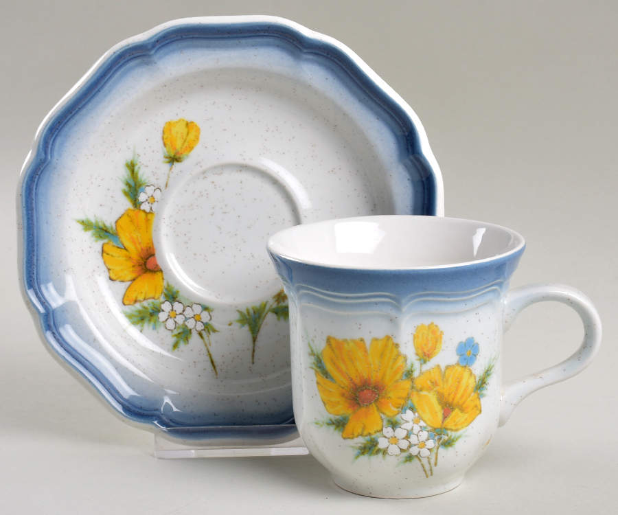 Amy Flat Cup & Saucer Set by Mikasa-1