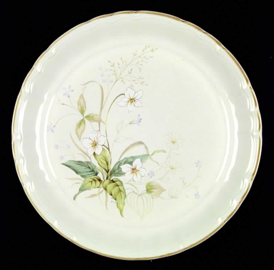 Ann Arbor Dinner Plate by Mikasa-1