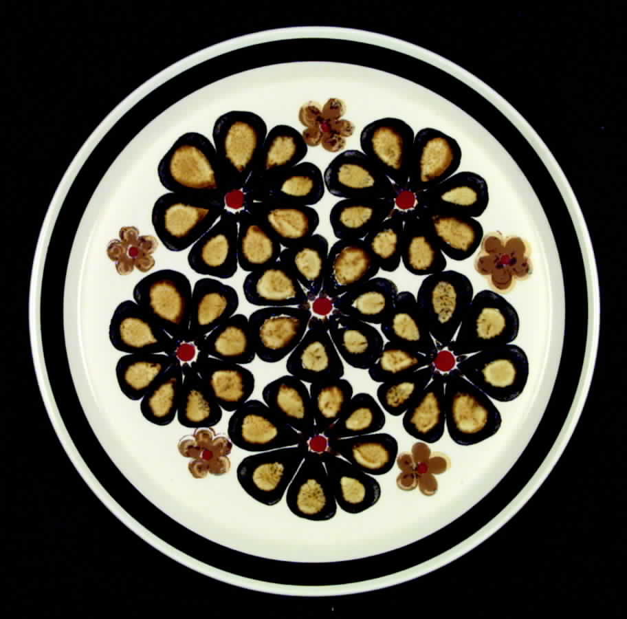 Andes Dinner Plate by Mikasa-1