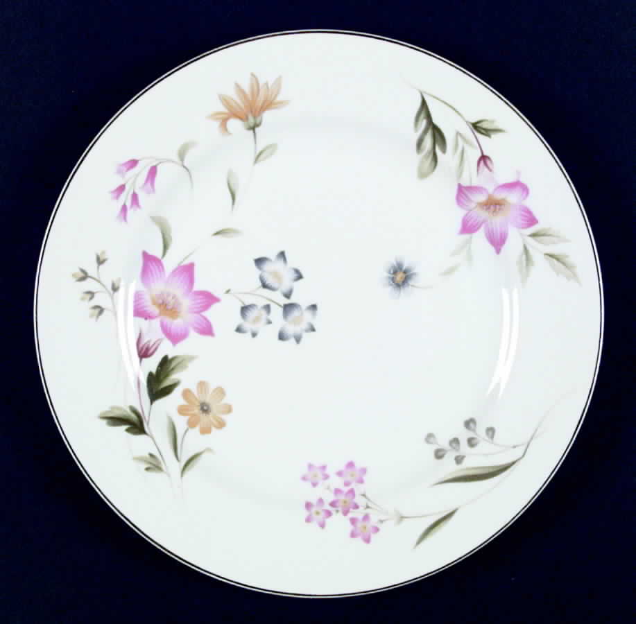 Ardmore Dinner Plate by Mikasa-1