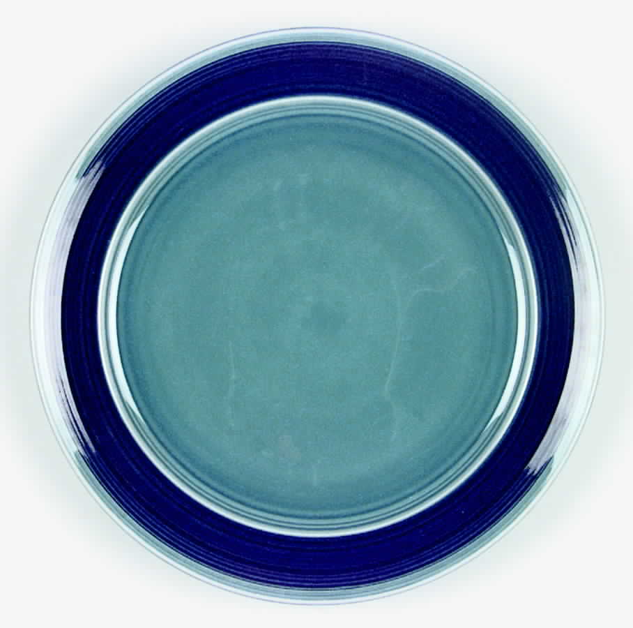 Azure Dinner Plate by Mikasa-1