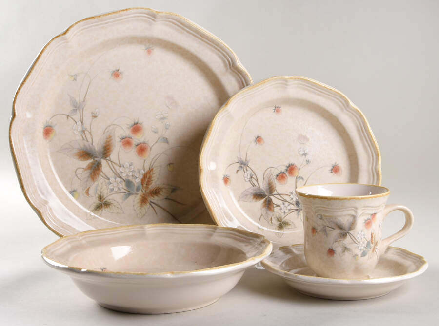 Berry Vale 5 Piece Place Setting by Mikasa-1