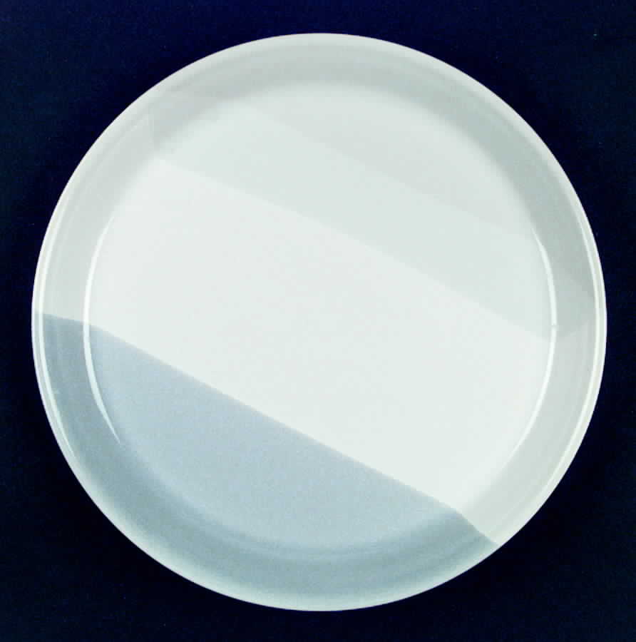 Big Surf Dinner Plate by Mikasa-1
