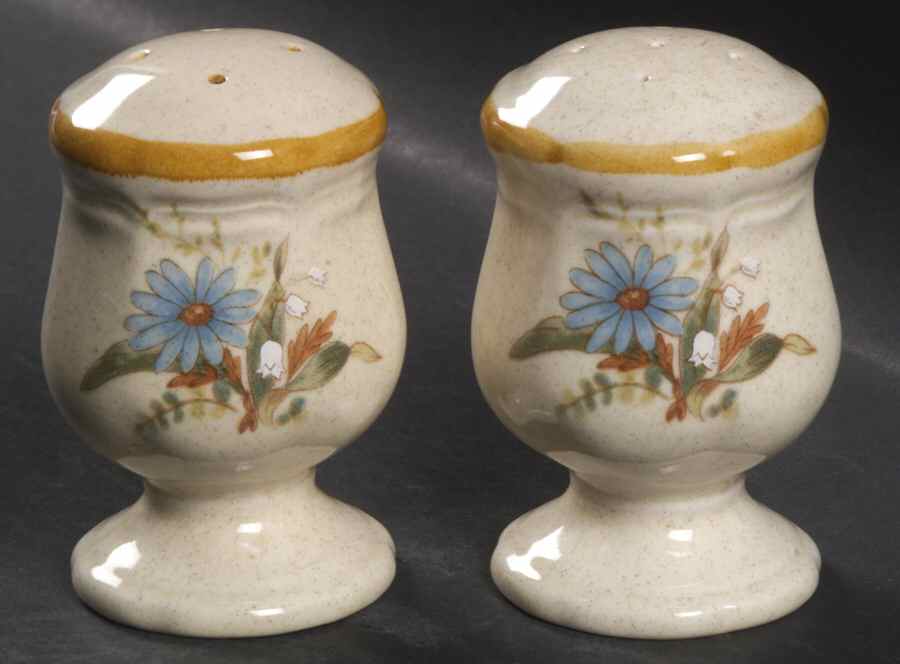 Blue Daisies Salt & Pepper Set by Mikasa-1
