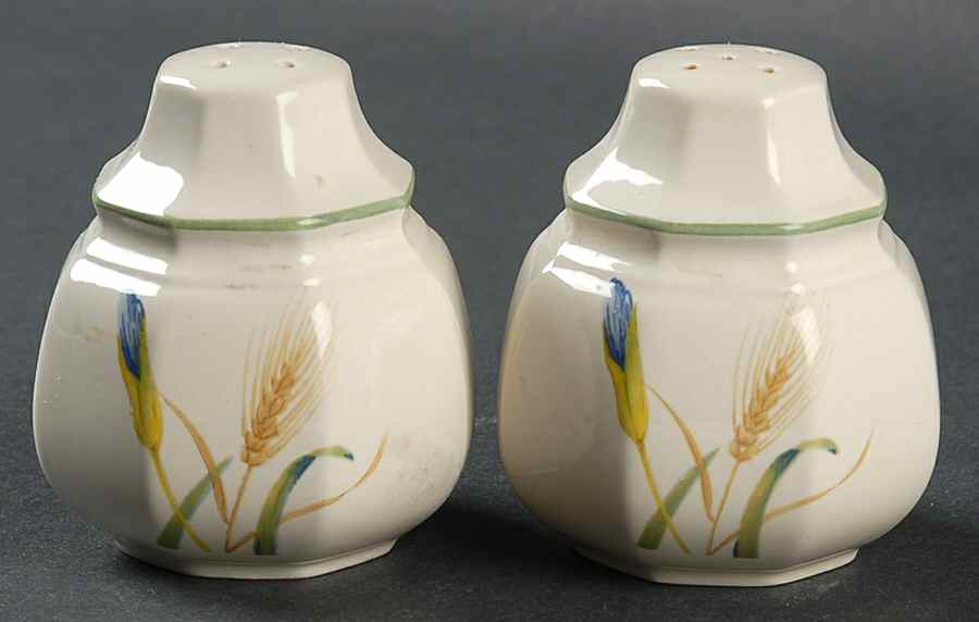 Blue Iris Salt & Pepper Set by Mikasa-1