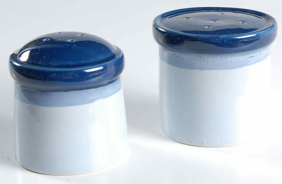 Blue Reef Salt & Pepper Set by Mikasa-1