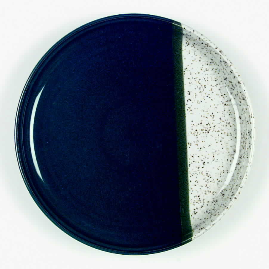 Blue Ryder Dinner Plate by Mikasa-1