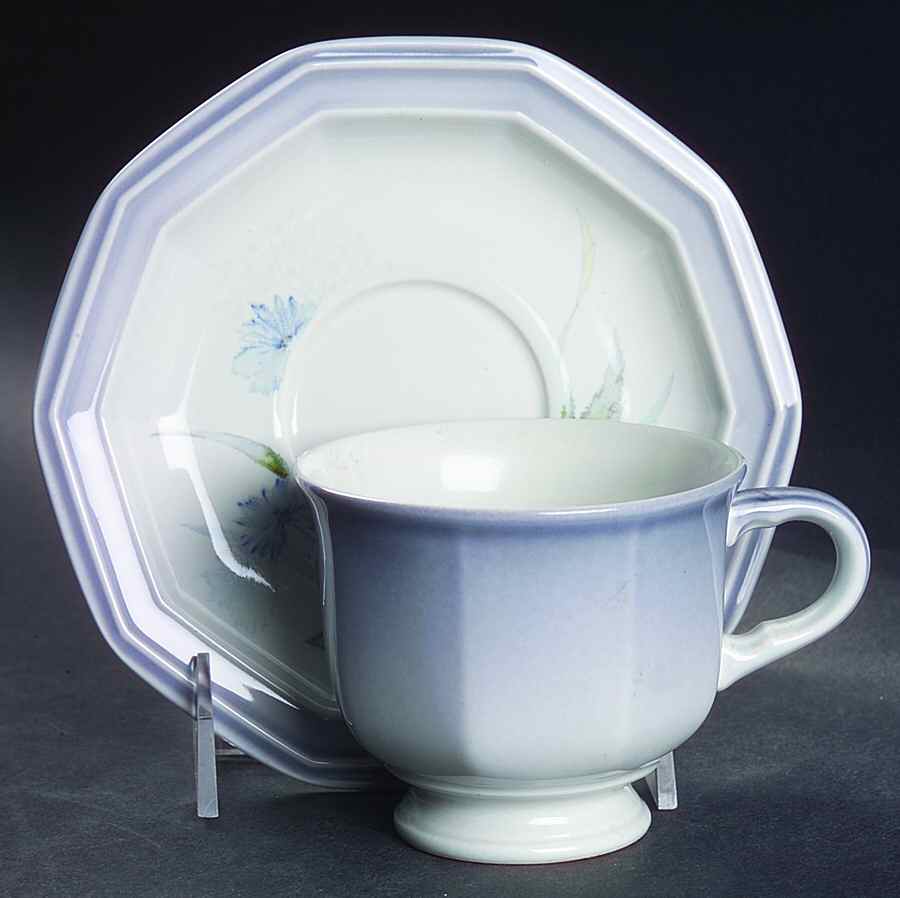 Blue Star Footed Cup & Saucer Set by Mikasa-1