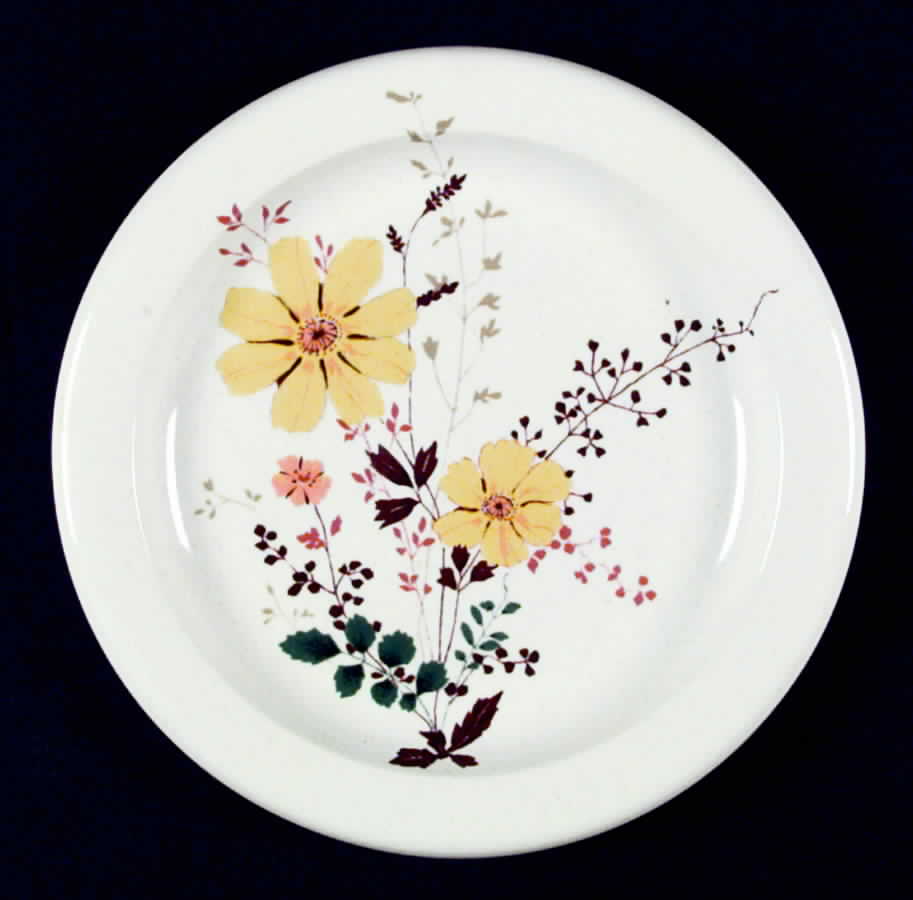 Bonaire Salad Plate by Mikasa-1