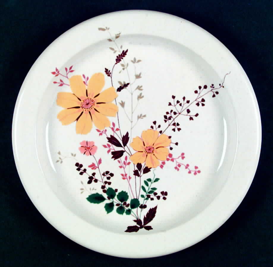 Bonaire Dinner Plate by Mikasa-1