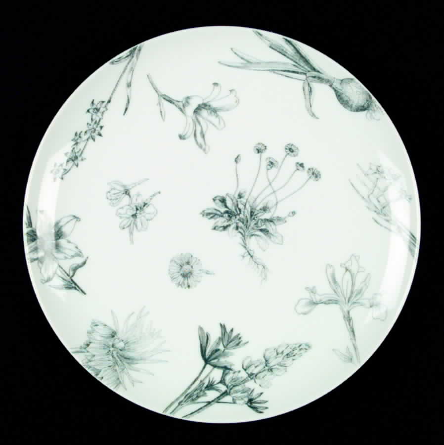 Botanique Dinner Plate by Mikasa-1