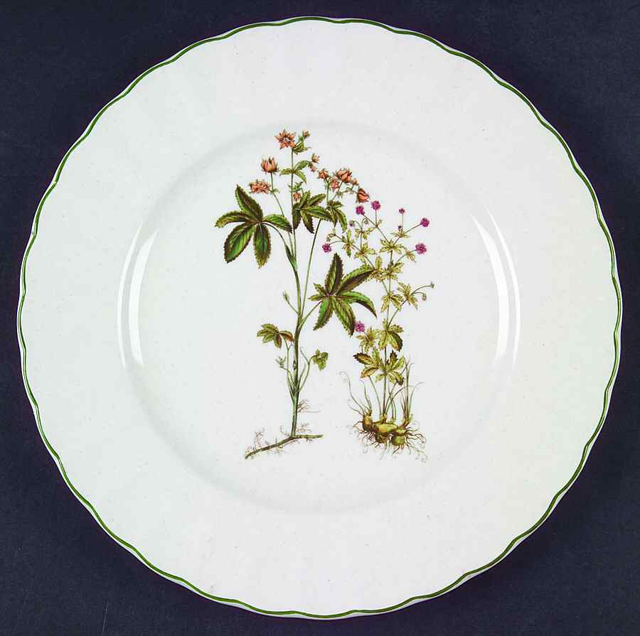 Botany Salad Plate by Mikasa-1