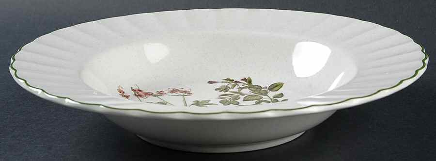 Botany Large Rim Soup Bowl by Mikasa-1