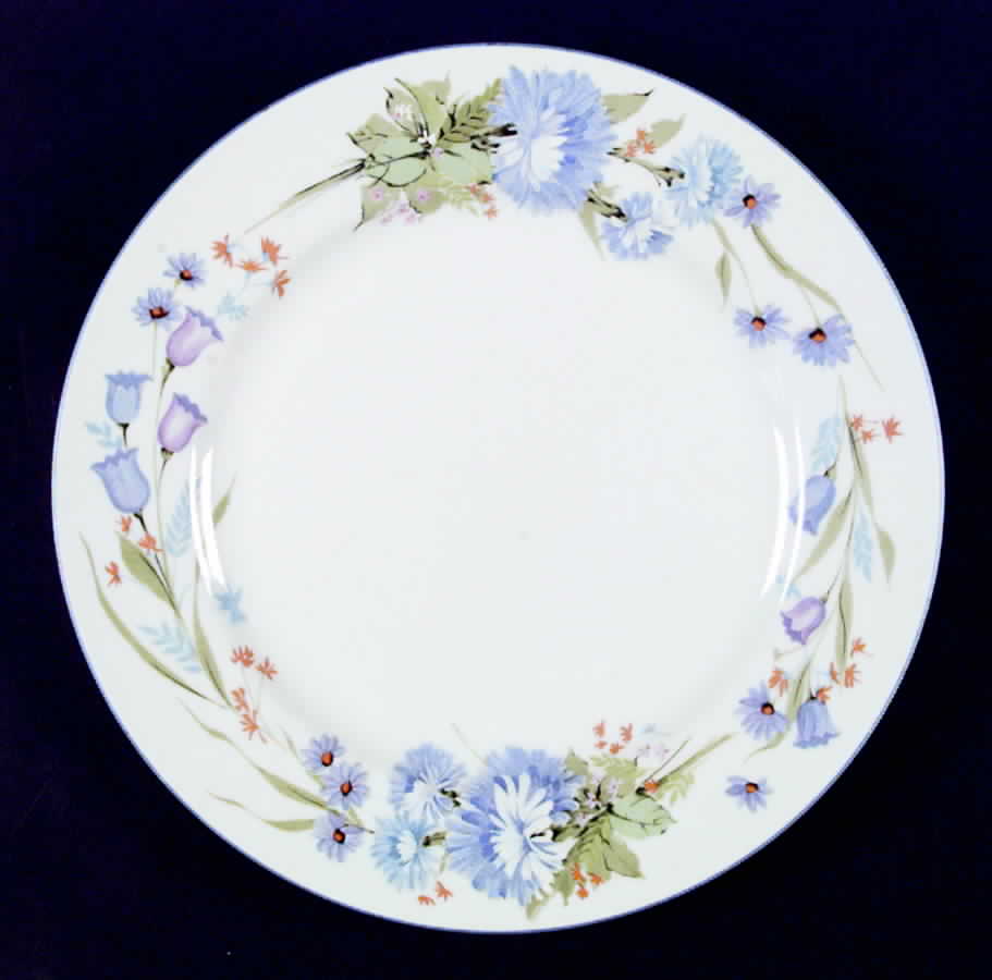 Brook Hills Dinner Plate by Mikasa-1