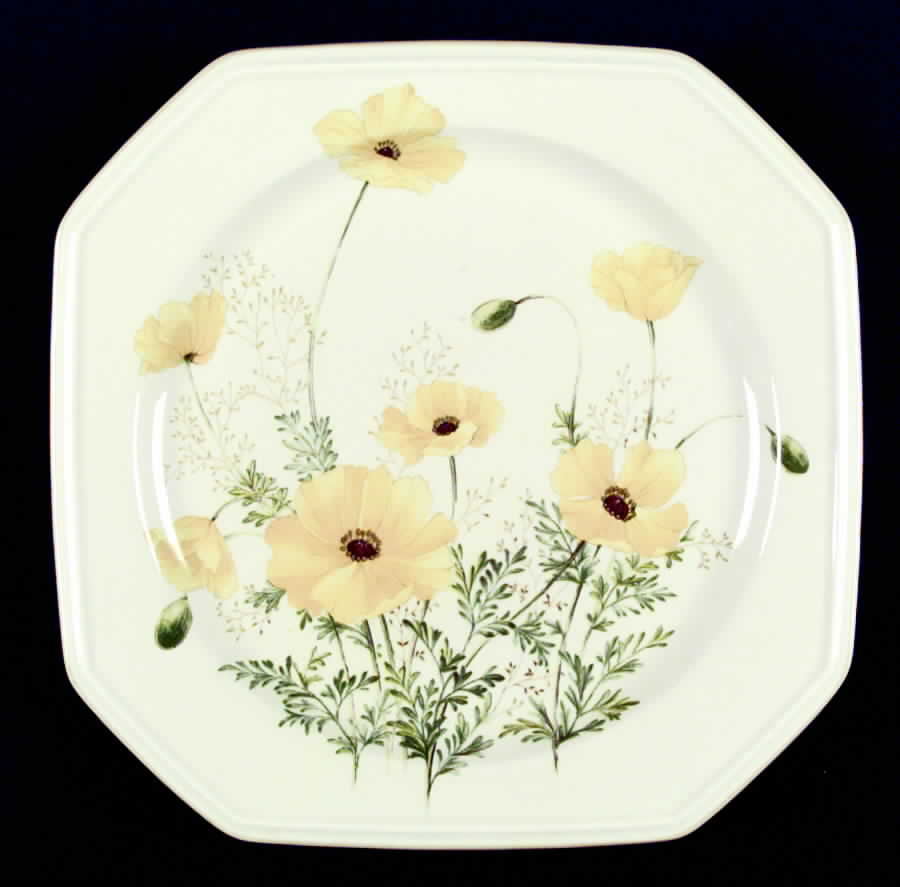 Buttercup Dinner Plate by Mikasa-1