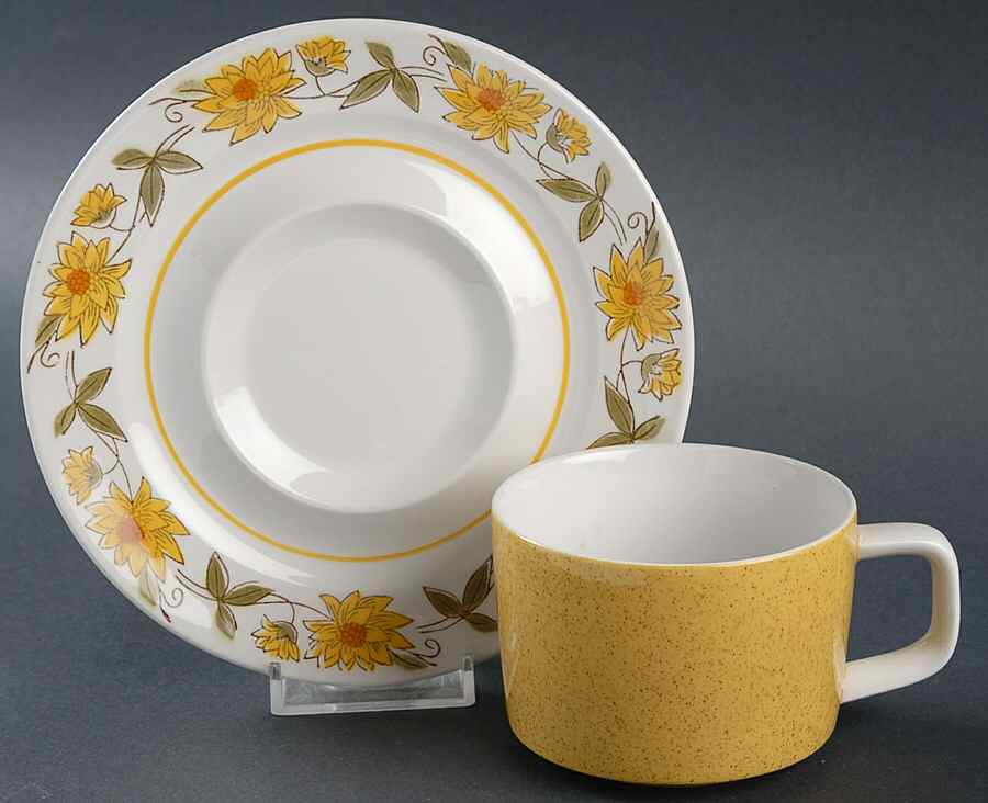 Caracas Flat Cup & Saucer Set by Mikasa-1