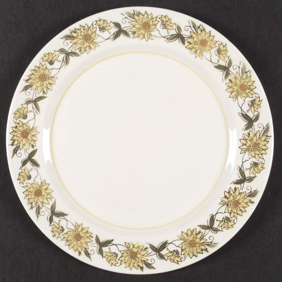 Caracas Dinner Plate by Mikasa-1