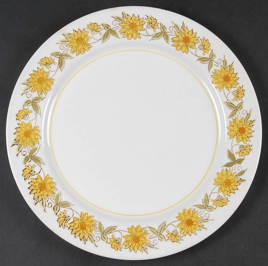 Caracas Dinner Plate by Mikasa-1