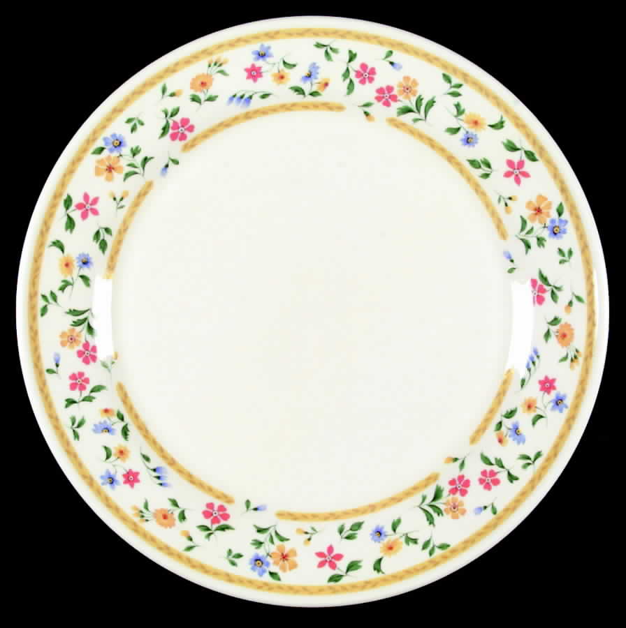 Carefree Dinner Plate by Mikasa-1