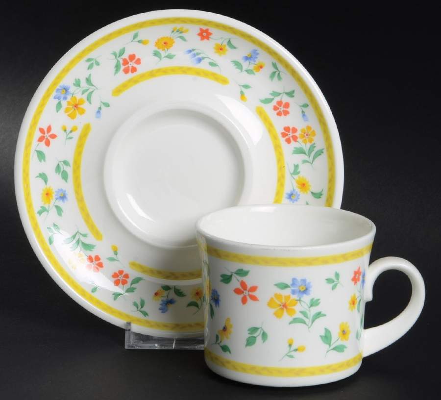 Carefree Flat Cup & Saucer Set by Mikasa-1