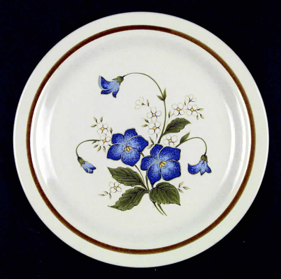 Celebration Dinner Plate by Mikasa-1