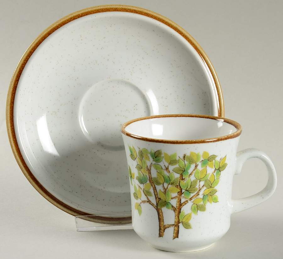 Central Park Flat Cup & Saucer Set by Mikasa-1