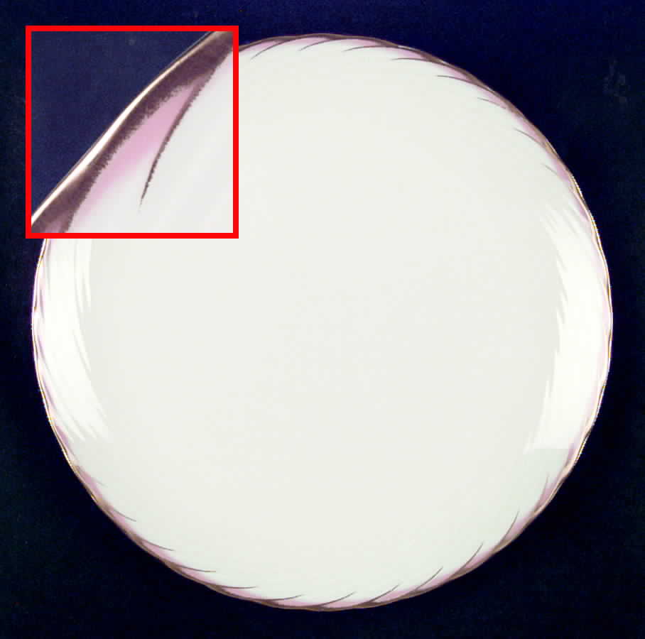Ceylon Dinner Plate by Mikasa-1