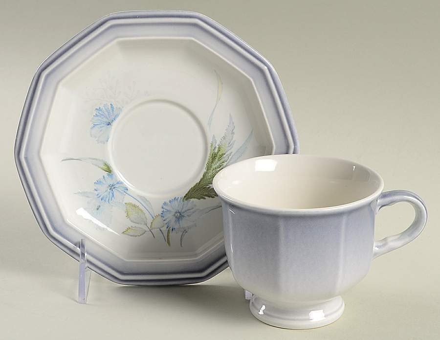 Country Blue Footed Cup & Saucer Set by Mikasa-1