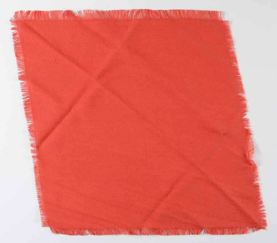 Continental Christmas Cloth Napkin by Mikasa-1