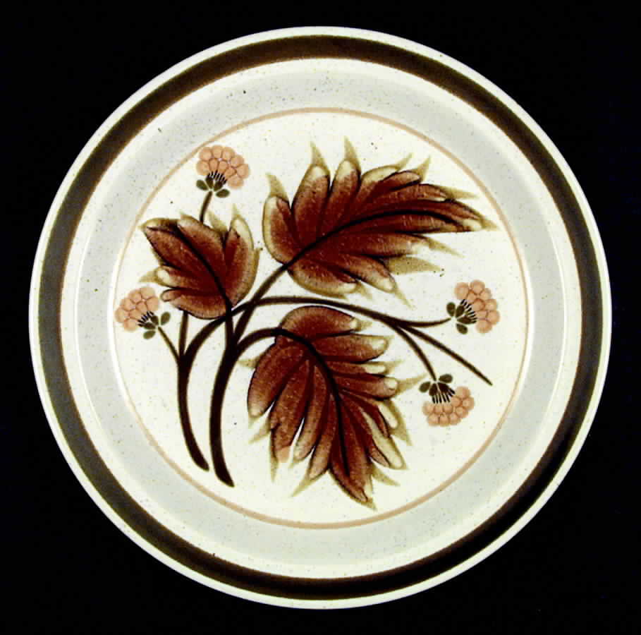 Country Squire Dinner Plate by Mikasa-1