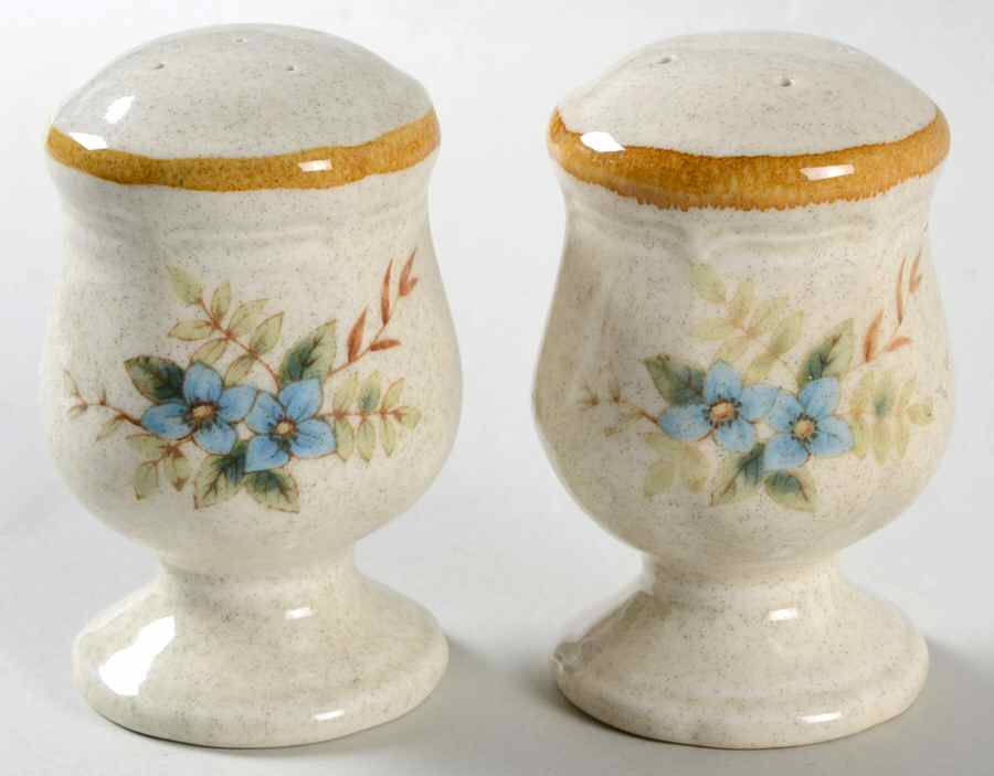 Day Dreams Salt & Pepper Set by Mikasa-1
