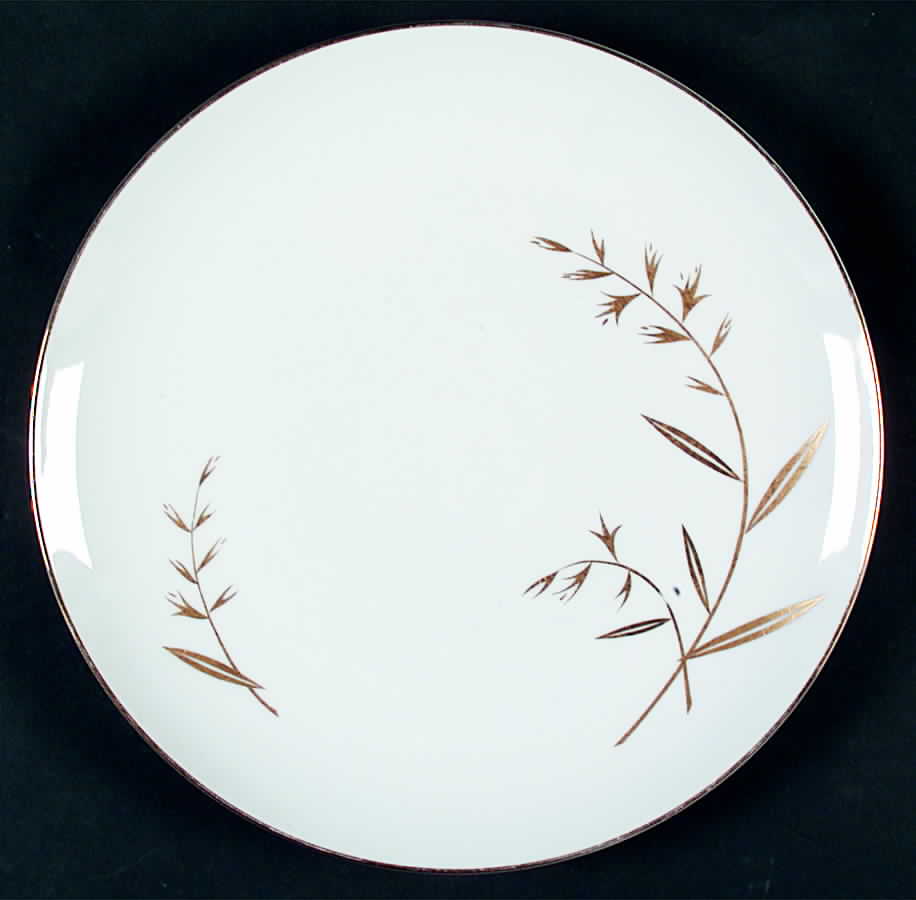 Debut Dinner Plate by Mikasa-1