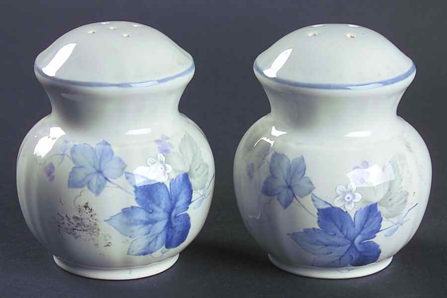 Deirdre Salt & Pepper Set by Mikasa-1